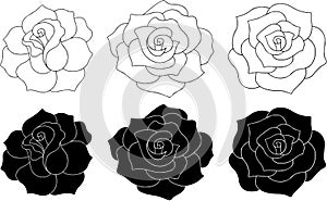 Roses Vector Illustration