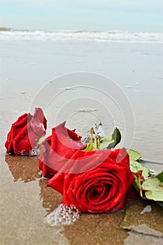 Roses and waves, symbols