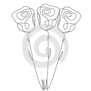 Roses on whiite background vector illustration