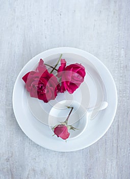 Roses and white chinas on the light wood background