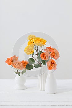 the roses in white vase on white background