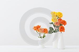 the roses in white vase on white background