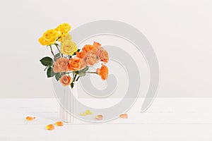 the roses in white vase on white background