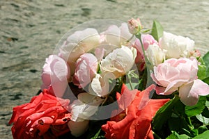 Roses on wood texture.