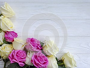 Roses on wooden background frame season