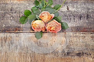 Roses on wooden background.Top view with copy space