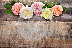 Roses on wooden background.Top view with copy space