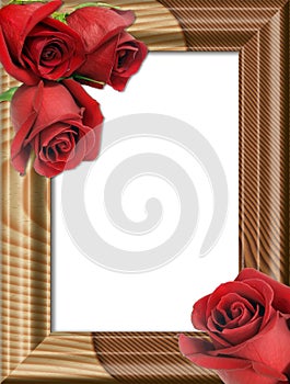 Roses on a wooden framework