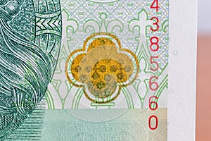 Rosette that changes color optically variable paint on 100 banknote photo