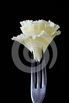 Rosette of Swiss Cheese specialty Tete de Moine photo