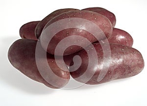 ROSEVAL POTATO solanum tuberosum AGAINST WHITE BACKGROUND