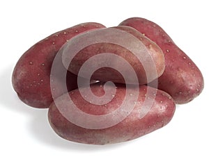 Roseval Potato, Solanum tuberosum, Vegetables against White Background