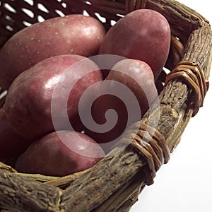 Roseval Potato, Solanum tuberosum, Vegetables in Basket