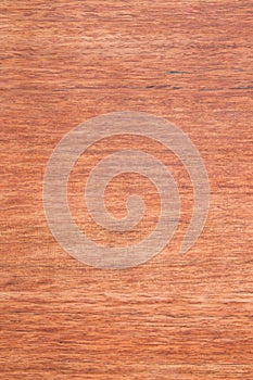Rosewood texture