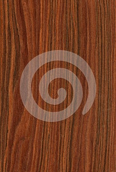 Rosewood (wood texture)