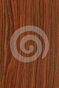 Rosewood (wood texture) photo