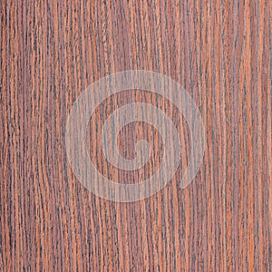 Rosewood wood texture photo