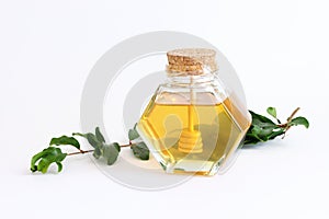 rosh hashanah (jewesh holiday) concept - honey traditional holiday symbol isolated on white