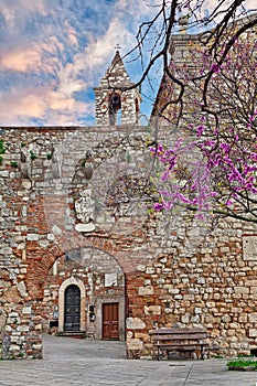 Rosignano Marittimo, Leghorn (Livorno), Tuscany, Italy