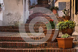Rosignano Marittimo, Tuscany, Livorno - the staircase photo