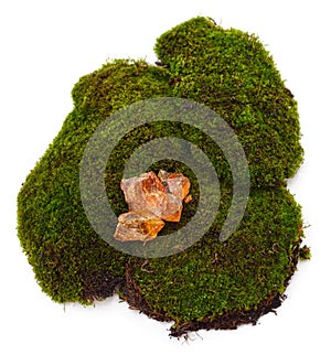 Rosin stone on green moss