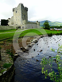 ross castle , kerry, ireland- castello di Ross in irlanda photo