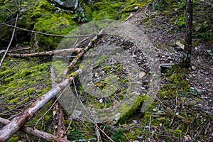 Ross Dam Trail mountains at North Cascades National Park in Washington State during Summer