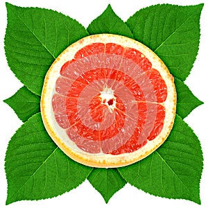 Ð¡ross section of grape-fruit with green leaf