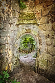 Rosslyn Castle Forest Entry