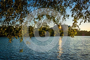 The Rosslyn skyline seen through trees at sunset, from the Geor