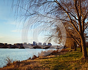 Rosslyn Virginia From The Banks Of The Potomac River