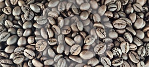 Rosted arabica medium Coffee bean