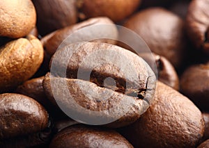 Rosted coffee bean extreme macro