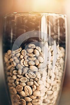 Rosted coffee bean multiple color photo