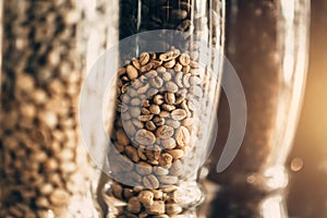 rosted coffee bean multiple color of rost time photo