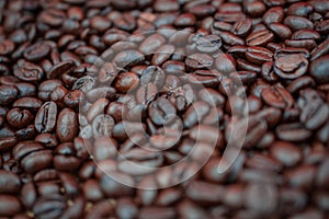 rosted coffee beans background photo