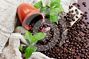 Rosted Coffee Beans on top of the table fallen from cup