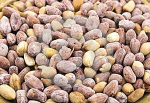 Rosted Peanuts Food