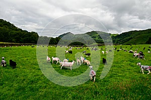 Rosthwaite Cumbria around