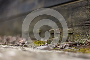 rostige schrauben von einem zug makro