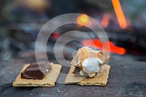 Rosting marshmallows and smores on campfire.