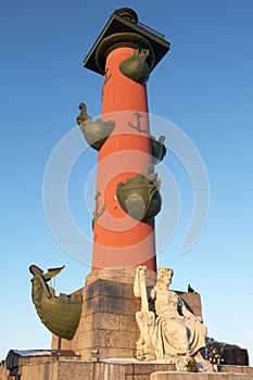 Rostral Column