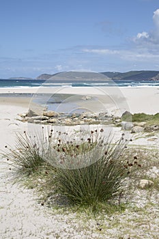 Rostro Beach; Finisterre; Costa de la Muerte; Galicia photo