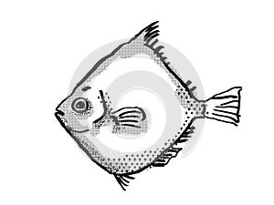 Rosy Deepsea Boarfish Australian Fish Cartoon Retro Drawing