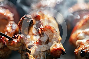 A rosy fried piece of chicken skewers