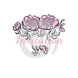 Rosy peony floral sketch. spring flower vector illustration. bla