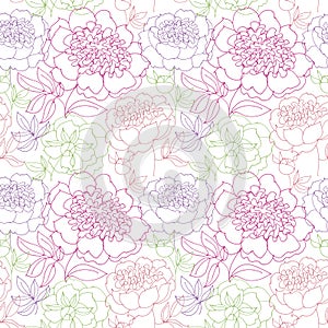 Rosy peony floral sketch. spring flower