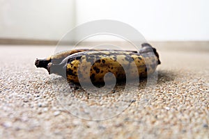 Rot Banana, Molder Rotten Banana Isolated on Concrete Background