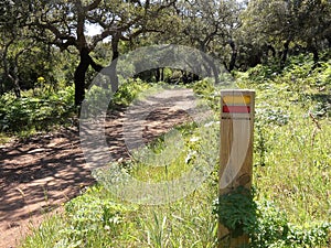 Rota Vicentina Trail Marker