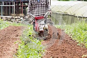 Rotary cultivator working in garden